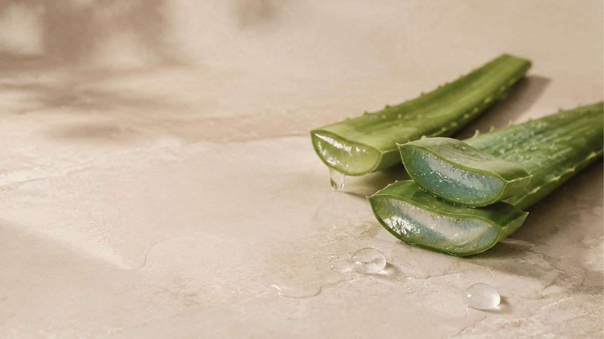 Aloe Vera Banner