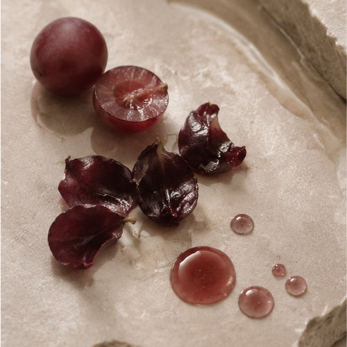Resveratrol